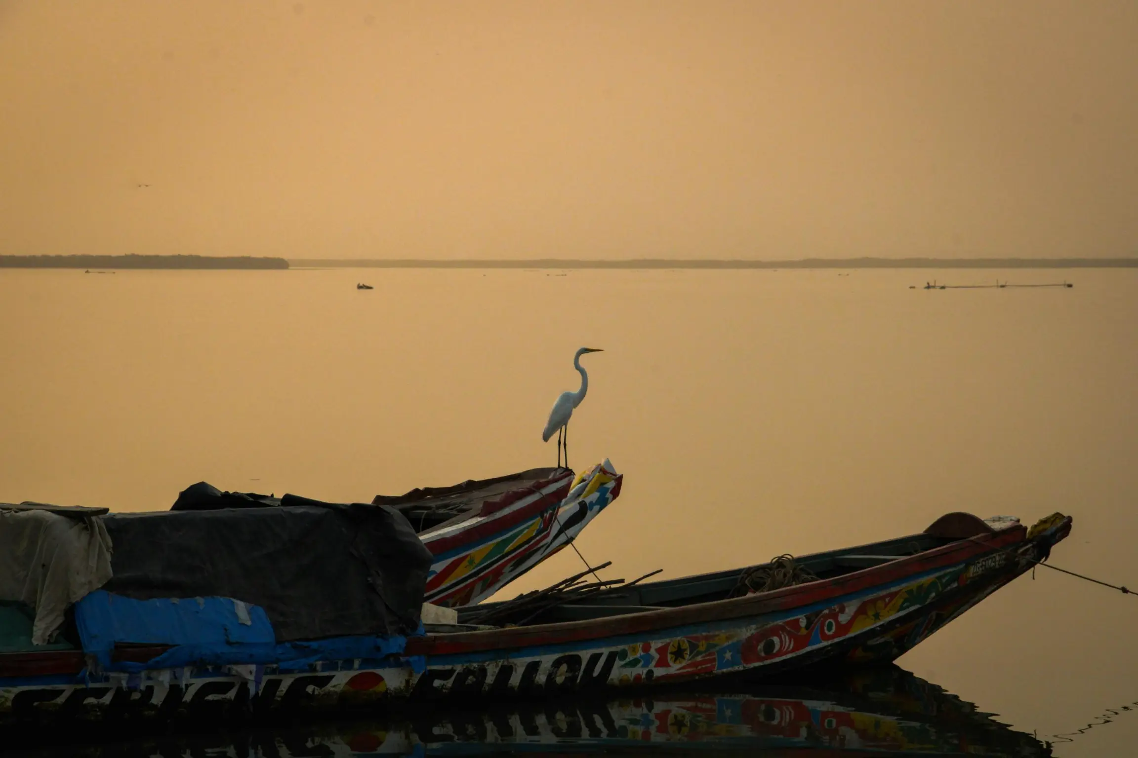 sine-saloum-senegal-1